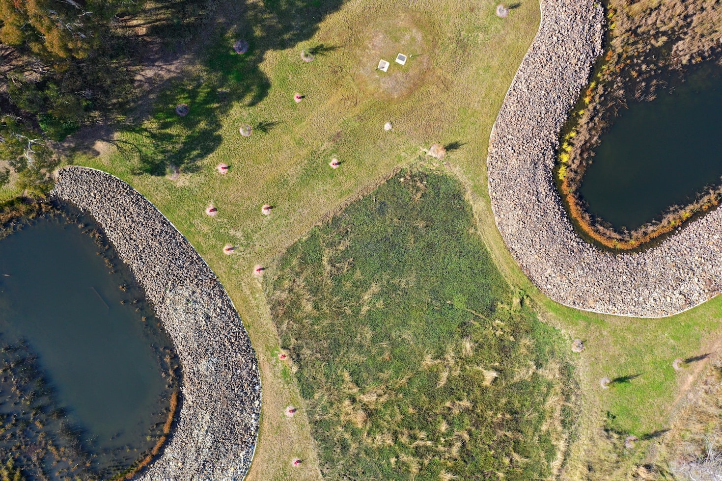 Top Geospatial Technologies Revolutionizing Data Analysis