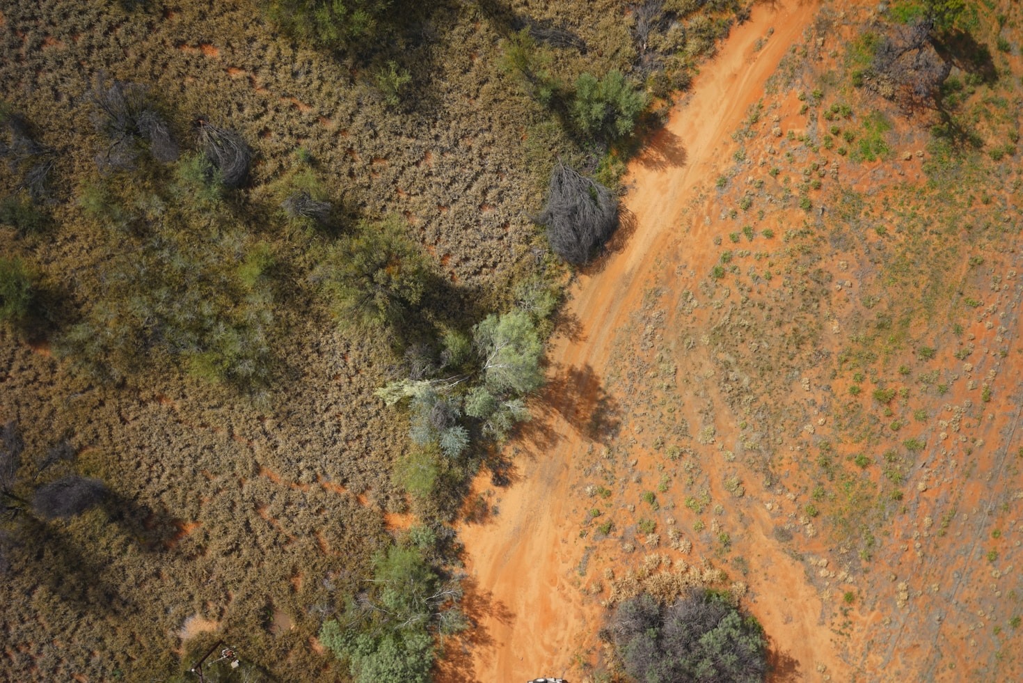 The Future of Robotics in Geospatial Applications
